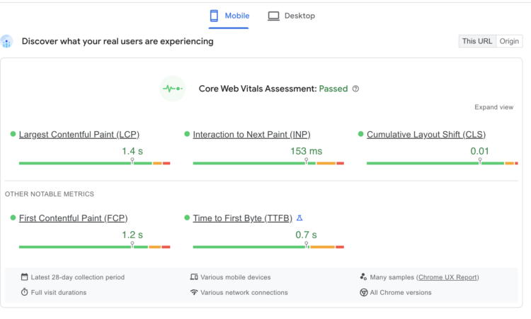 screenshot of google page speed insights report