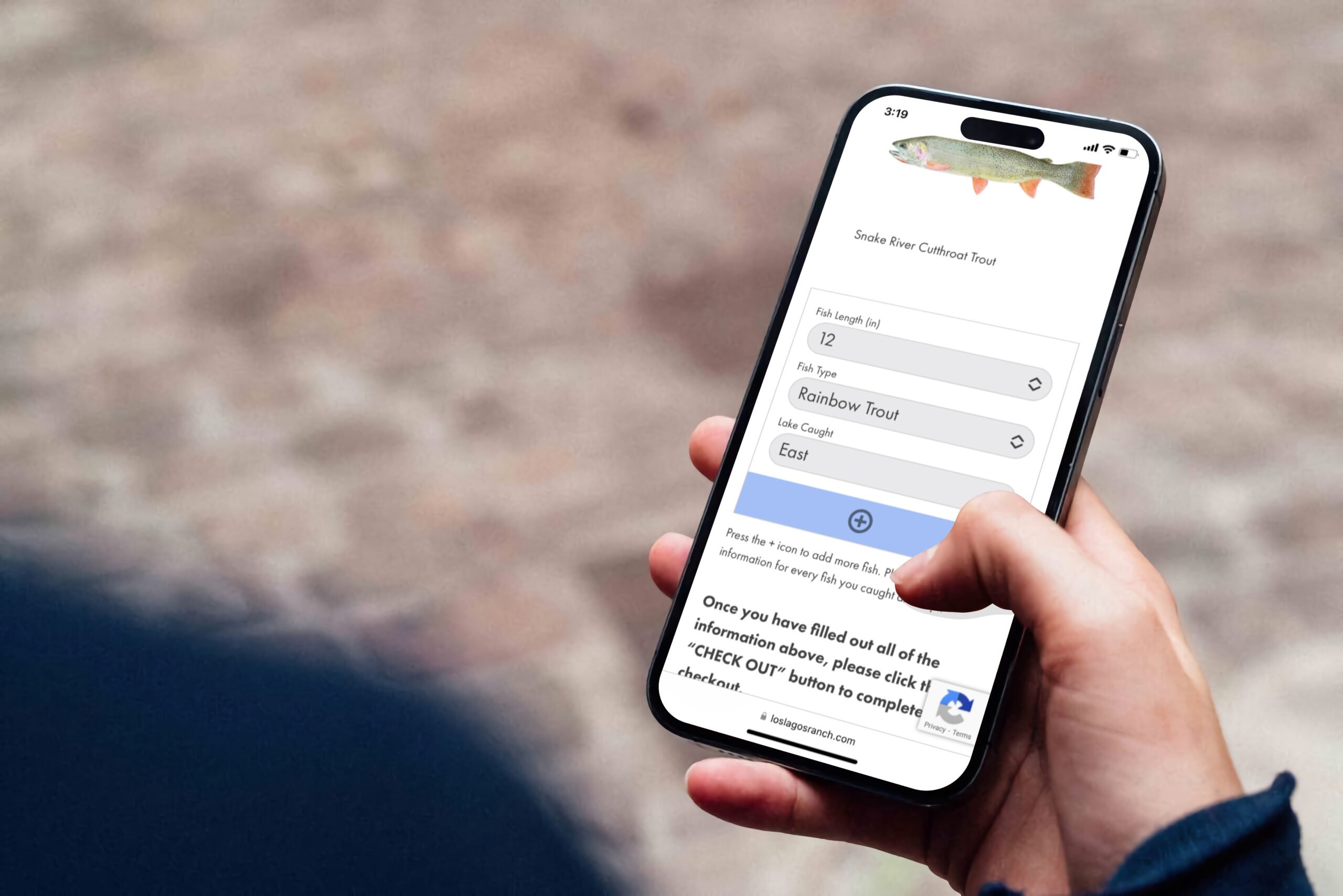 male hand holding iphone